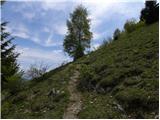 Planina Polog - Mrzli vrh above Planina Pretovč